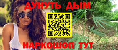 дурь Шебекино