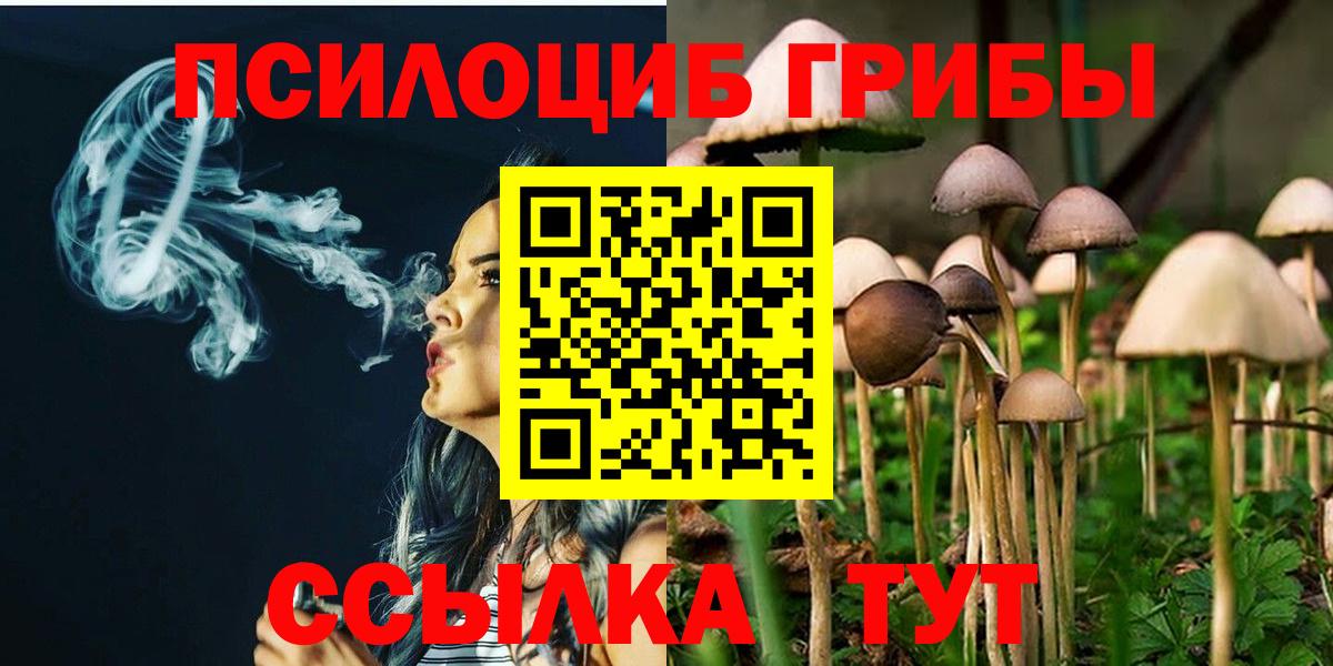 Галлюциногенные грибы Cubensis  Вход с VPN  Алексеевка 